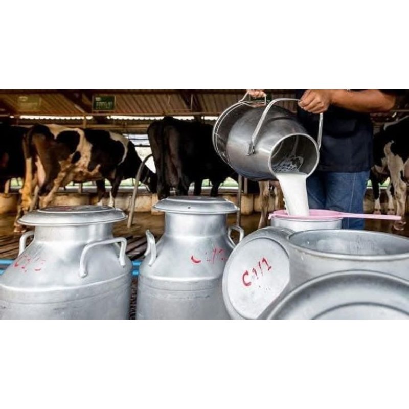 Agricultural Trading Initiatives Driving Yemen's Dairy Self-Sufficiency