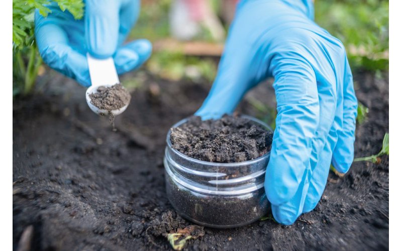 Soil Analysis and Fertilization Programs