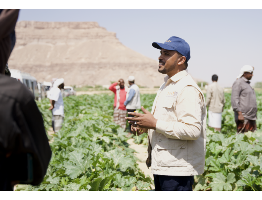 Protection That Performs - KMK Agri Agriculture Services in Yemen