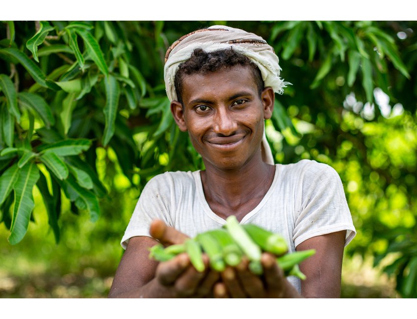 Fertilize for the Future - KMK Agri Agriculture Services in Yemen